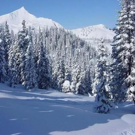 شقة In Near Slopes, Cleaning Included ميدهباخ